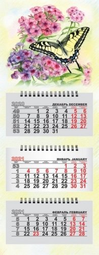 Календарь на 2021 год "Цветы, бабочка. Акварель" (КР29-21006) фото книги