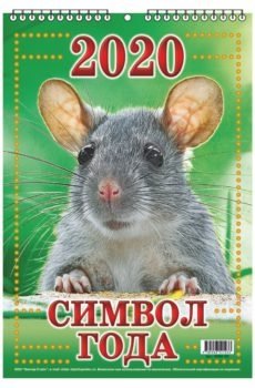 Календарь настенный перекидной "Символ года" на 2020 год фото книги