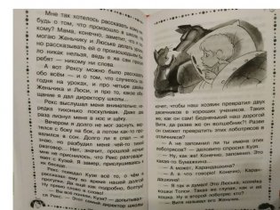 В стране невыученных уроков фото книги 3