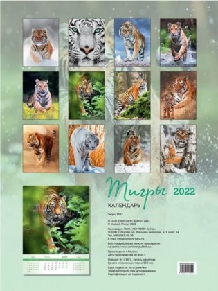 Тигры. Календарь настенный на 2022 год фото книги 2