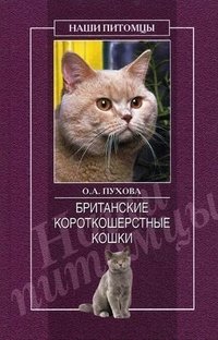 Британские короткошерстные кошки фото книги