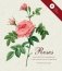 Roses (+ DVD) фото книги маленькое 2