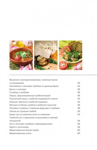 Блюда из грибов в мультиварке фото книги 6