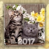 Календарь на 2017 год "Котята", настольный, 12 листов фото книги