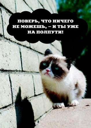Grumpy Cat. Правила жизни самой сердитой кошки в мире фото книги 10