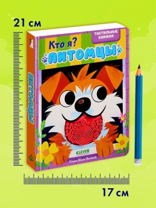 Кто я? Питомцы фото книги 3