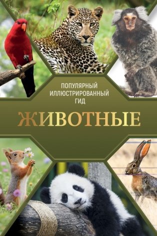 Животные. Популярный иллюстрированный гид фото книги