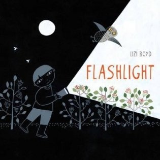 Flashlight фото книги