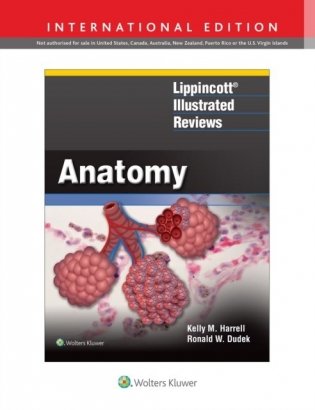 Lippincott Illustrated Reviews: Anatomy, 1e фото книги