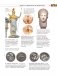 Монеты мира. Визуальная история развития мировой нумизматики от древности до наших дней фото книги маленькое 13