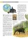 География России. Полная энциклопедия фото книги маленькое 12