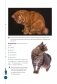 Здоровье вашей кошки фото книги маленькое 11