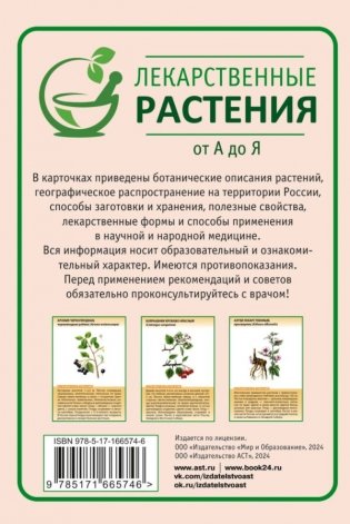 Лекарственные растения от А до Я. 50 карточек фото книги 3