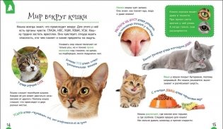 Кошки и котята. Первая энциклопедия фото книги 2