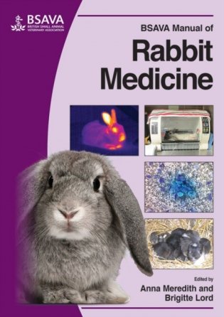 Bsava manual of rabbit medicine фото книги