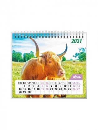 Календарь-домик на 2021 год "Символ года 1" (евро) фото книги 7
