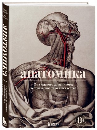 Анатомика. От ужасного до великого: человеческое тело в искусстве фото книги 2