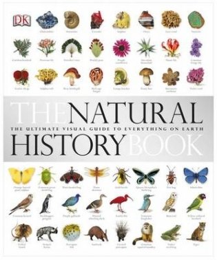The Natural History Book фото книги
