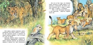 Приключения львенка фото книги 4