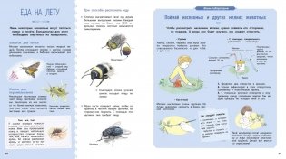 Насекомые и другие маленькие животные фото книги 4