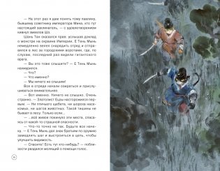 Императорские коты-защитники. Охотники за тенями фото книги 6