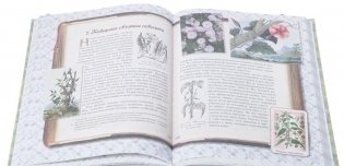 Занимательная ботаника фото книги 5