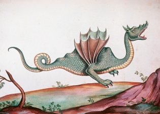 Магические животные. Легенды и суеверия фото книги 3