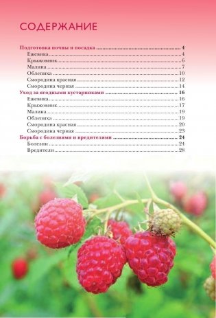 Полезные ягоды. Секреты сверхурожая фото книги 3