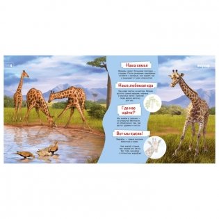 Энциклопедия для самых маленьких "Познакомимся поближе! Животные Африки" фото книги 2