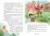 Кот в сапогах фото книги маленькое 6