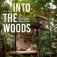Into the Woods. Retreats and Dream Houses фото книги маленькое 2