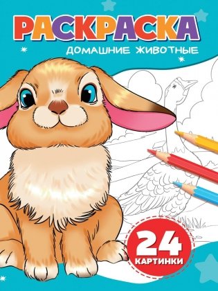 Домашние животные фото книги