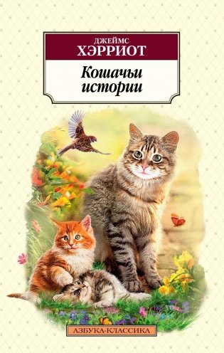 Кошачьи истории фото книги