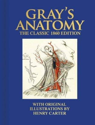 Gray's Anatomy/ The Classic 1860 Edition with Original Illustrations фото книги