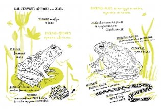 Мой удивительный мир природы. Книга для рисования фото книги 4