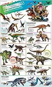 DKfindout! Dinosaurs Poster. Wall Chart фото книги