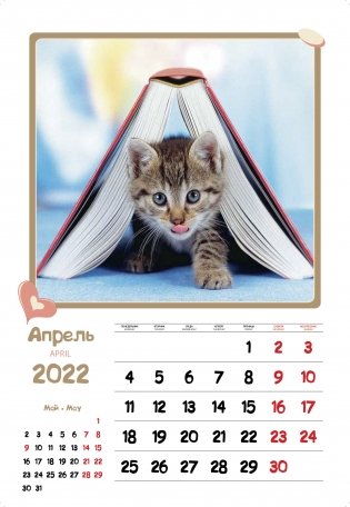 Календарь на 2022 год "Забавные котята" (КР21-22016) фото книги 3