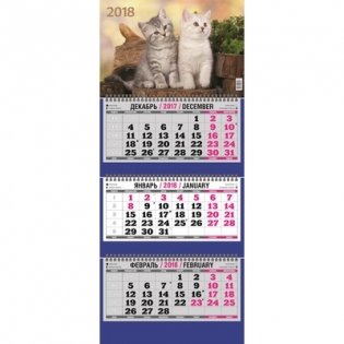 Календарь настенный на 2018 год "Два котенка", 310х690 мм фото книги