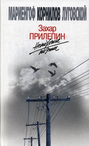 Непохожие поэты фото книги