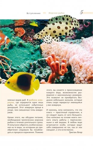 Морской аквариум фото книги 3