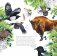 Календарь живой природы с голосами животных 2026 год фото книги маленькое 4
