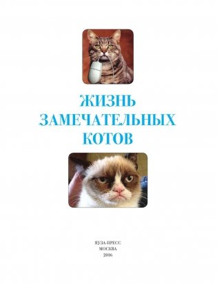 Жизнь замечательных котов фото книги 4