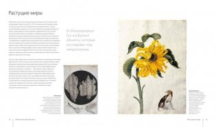 Ботаника для художника. Полное руководство по рисованию растений фото книги 10