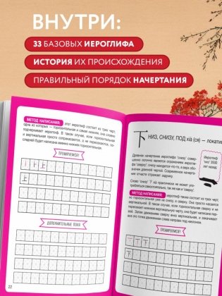 Прописи: мои первые китайские иероглифы фото книги 3