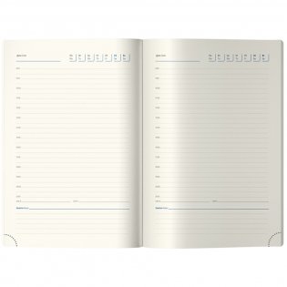 Ежедневник недатированный, А5, 136 л., кожзам, Berlingo "Memphis", серебряный срез, с рисунком. Арт. UD2_01S04 фото книги 6