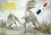Динозавры. 3D-энциклопедия фото книги маленькое 3