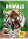 My Fold Out Atlas of Animals фото книги маленькое 2