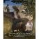 George Clausen and the Picture of English Rural Life фото книги маленькое 2