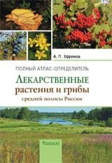 Лекарственные растения и грибы средней полосы России фото книги