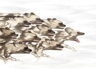 Незваные гости фото книги 7